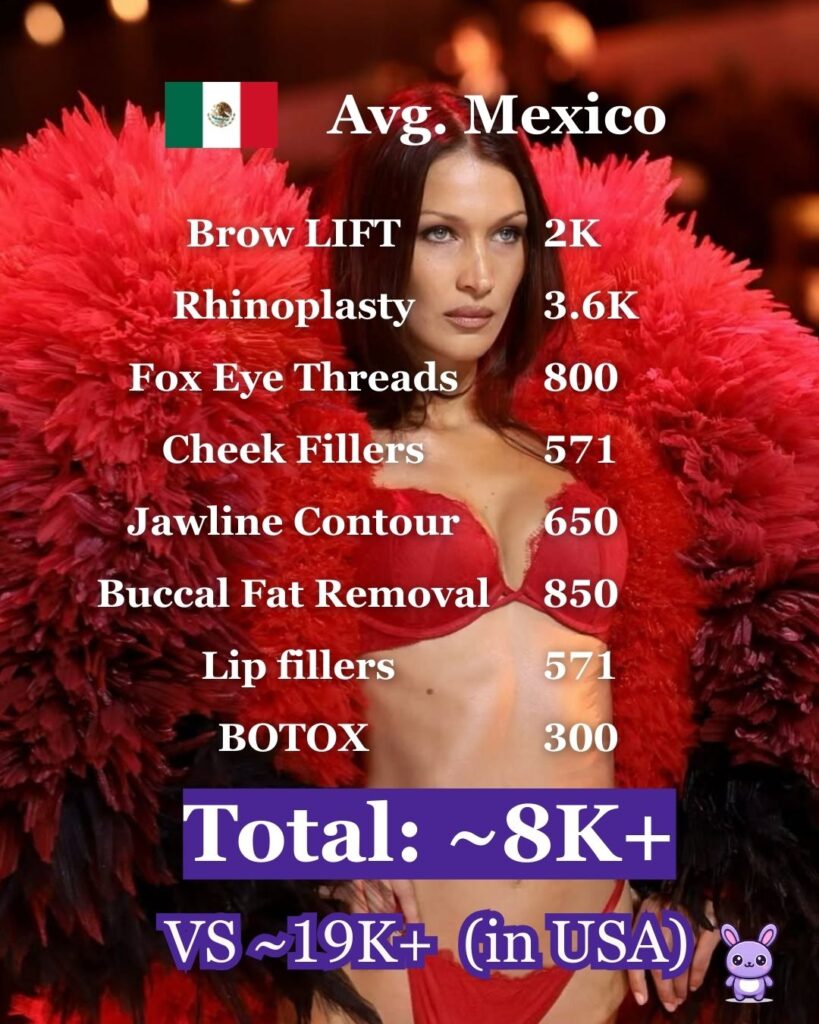 Bella Hadid plastic surgery cost
